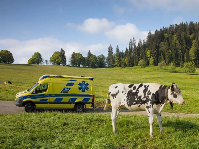 Rettungswagen steht auf Wiese neben Kuh in ländlicher Umgebung, Einsatz des Rettungsdienstes in der Schweizer Bergregion.